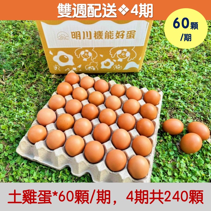 【雙週配送｜4期】土雞蛋*60顆