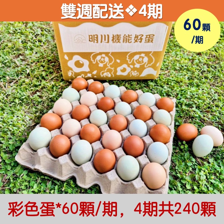 【雙週配送｜4期】明川彩色蛋*60顆