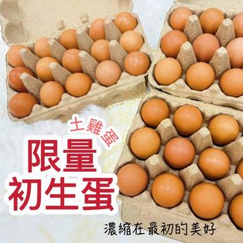 初生土雞蛋