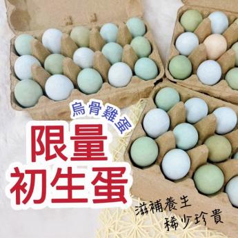 初生烏金蛋